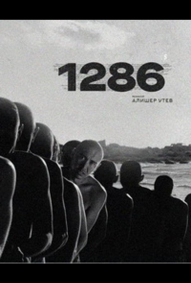 1286 (2023)